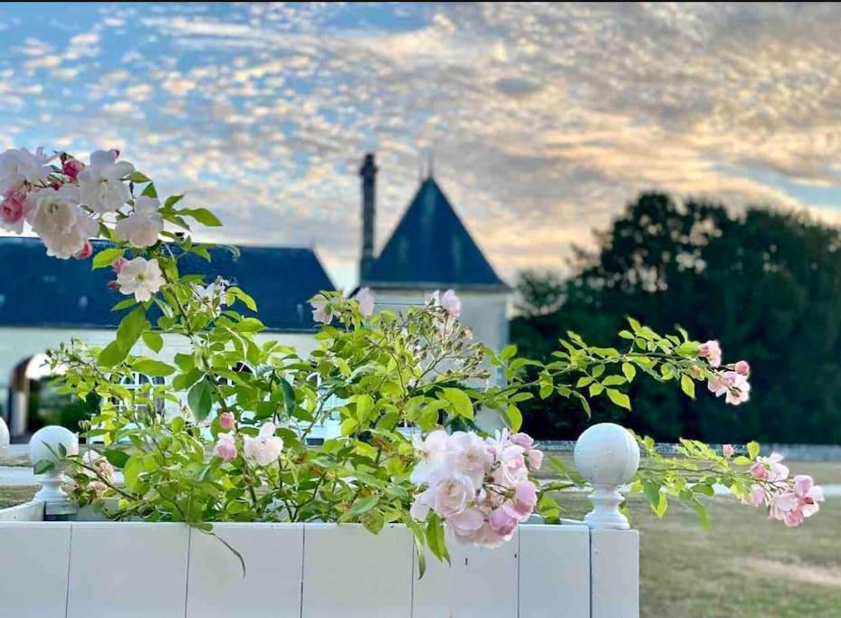 Charming Romantic Tower In Chateau Estate Ocquerre Екстер'єр фото